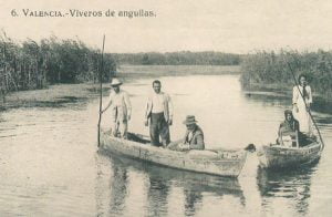 albufera-destacda