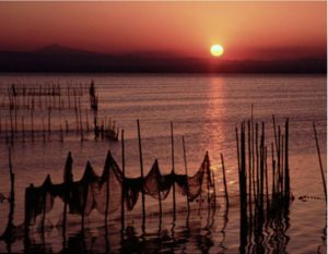 albufera1